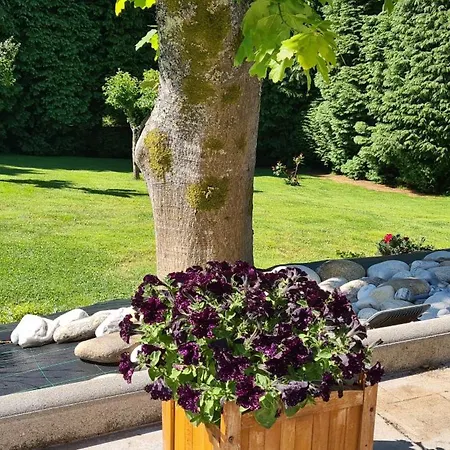 Casa Chelo Turisticos Mazaricos